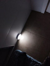 NightGlow™ Smart Sensor Light