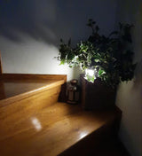 NightGlow™ Smart Sensor Light