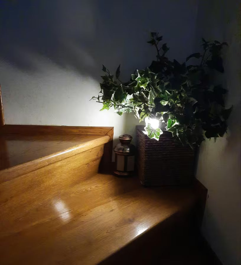 NightGlow™ Smart Sensor Light