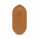 Soleplate Close-up